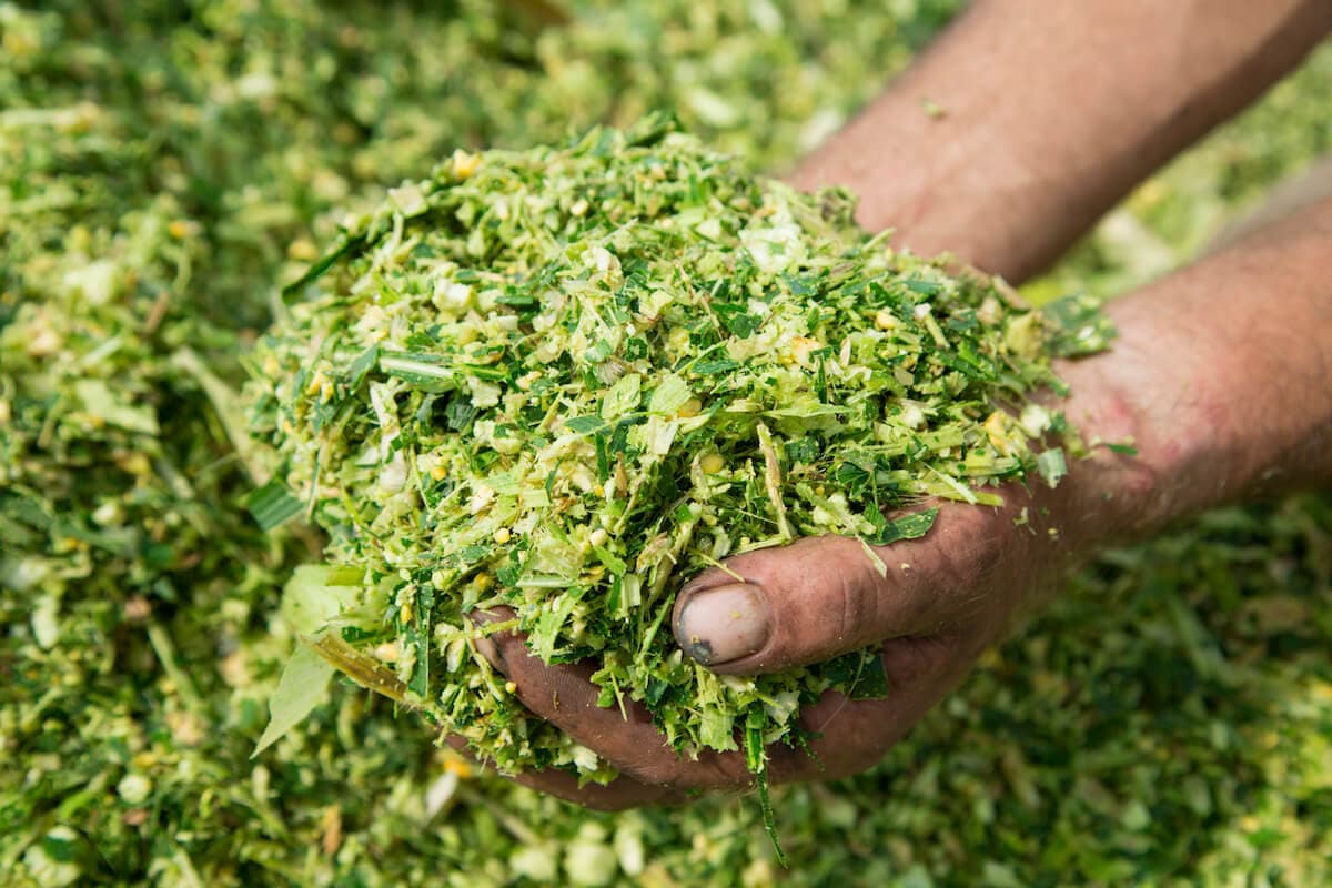 Commercialization and Manufacturing of Bio-Trace Minerals in Partnership with TDB (DST)