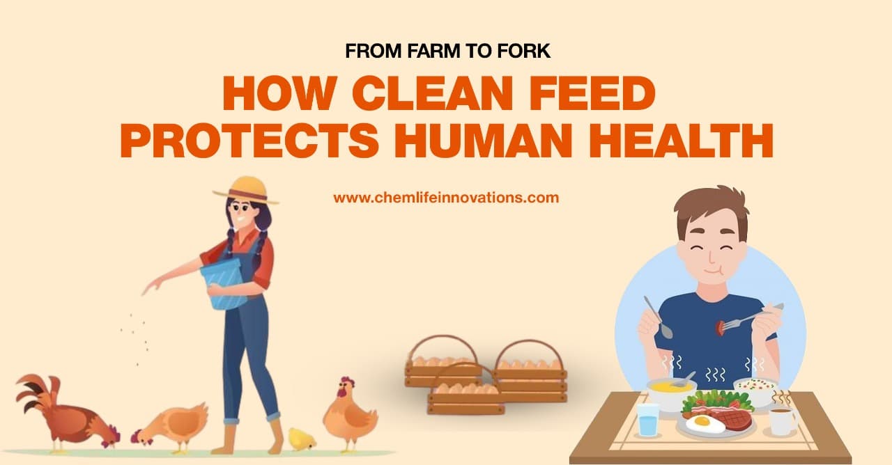From Farm to Fork: How Clean Feed Protects Human Health