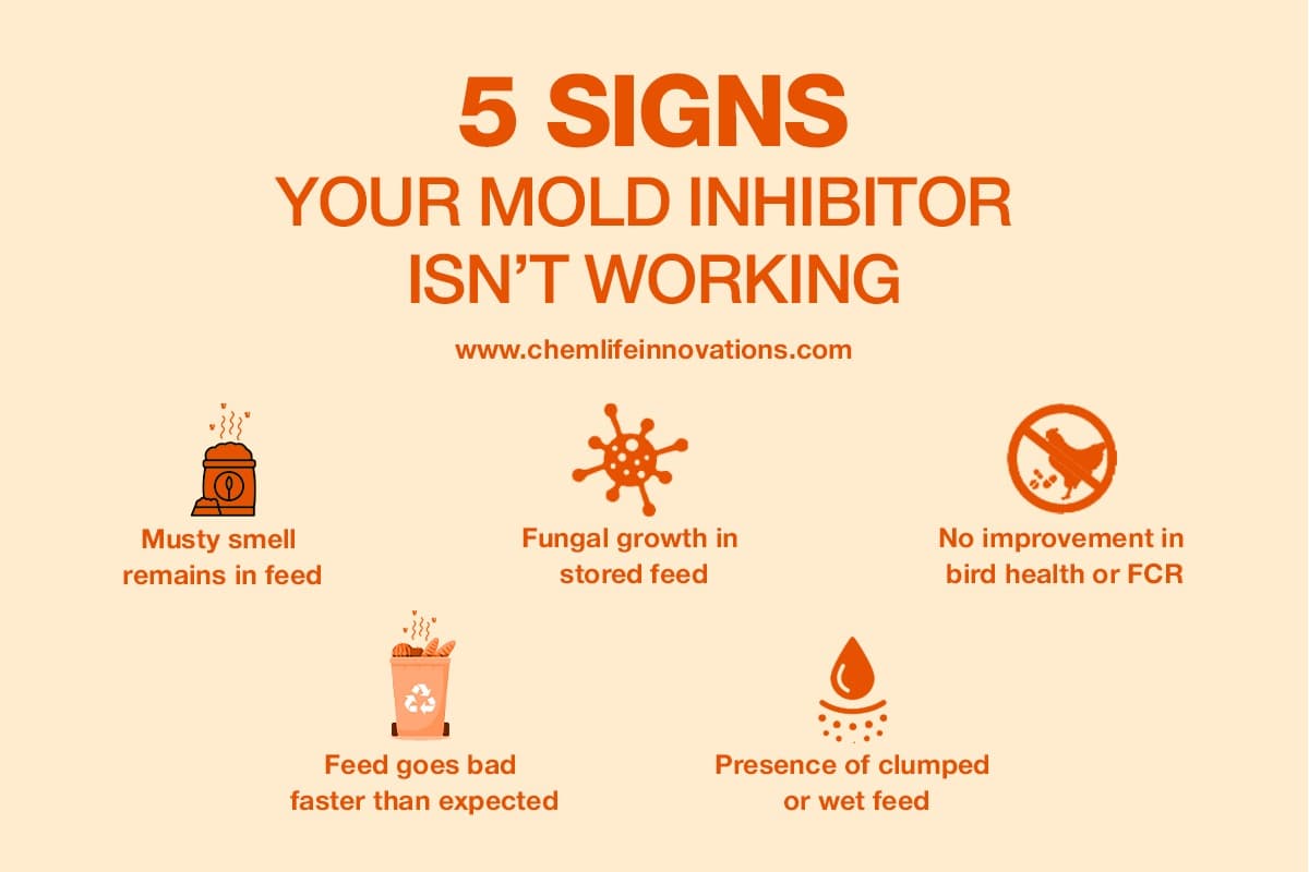 5 Signs Your Mold Inhibitor Isn't Working