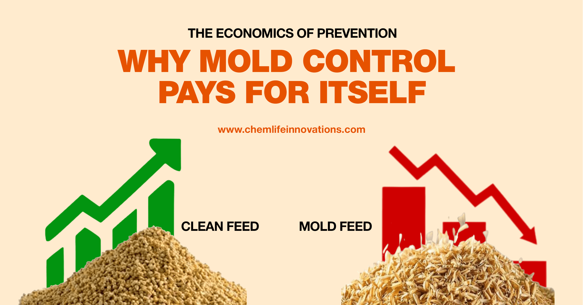 The Economics of Prevention: Why Mold Control Pays for Itself