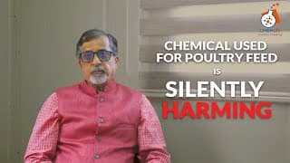 Harsh reality against poultry feed | Harsh side of chemical